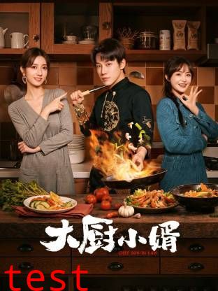 大厨小婿