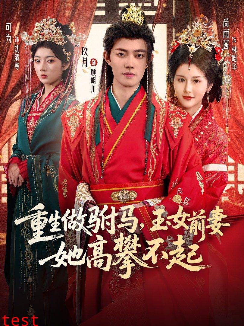 重生做驸马，玉女前妻她高攀不起