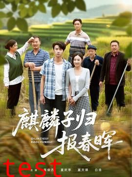 麒麟子归报春晖