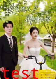 爱意燃尽，我转身高嫁