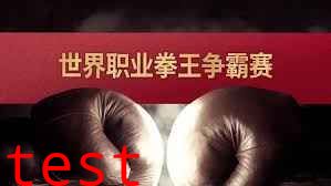 世界职业拳王争霸赛