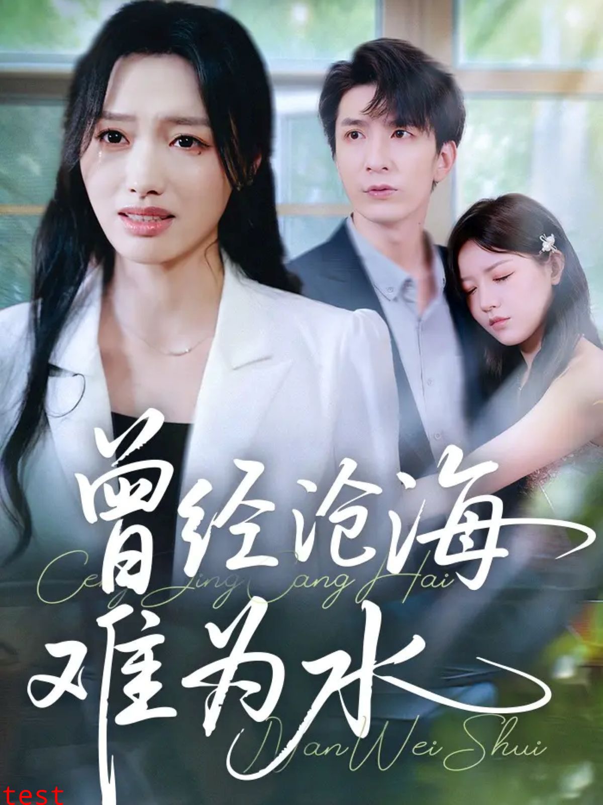 新曾经沧海难为水