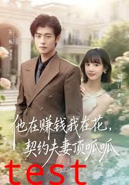 他在赚钱我在花，契约夫妻顶呱呱