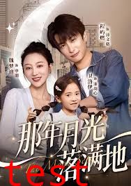 那年月光落满地