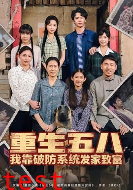 重生五八我靠破防系统发家致富