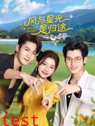 风与星光是归途