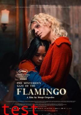 弗拉明戈的神秘眼神