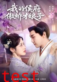 我的侯府傲娇才娘子