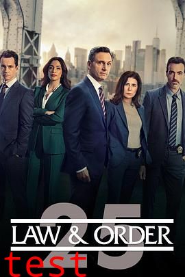 法律与秩序第二十五季