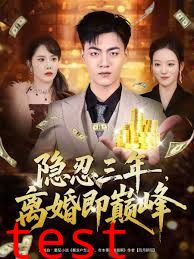 隐忍三年，离婚即巅峰