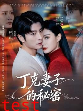 丁克妻子的秘密