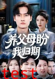 养父母盼我归期