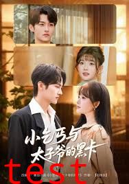 小乞丐与太子爷的黑卡