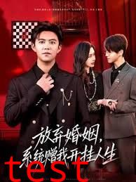 放弃婚姻，系统赠我开挂人生