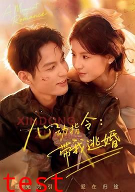 心动指令：带我逃婚