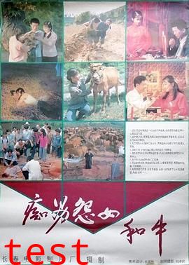 痴男怨女和牛【影视解说】