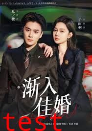 渐入佳婚第一部