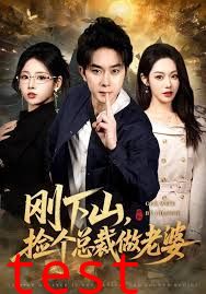 刚下山捡个总裁做老婆