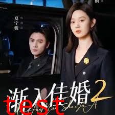 渐入佳婚第二部