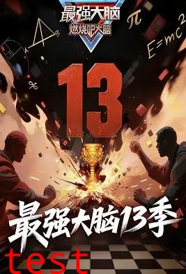 最强大脑第十三季