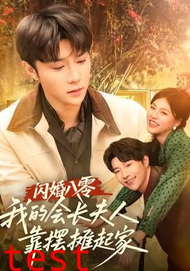 闪婚八零，我的会长夫人靠摆摊起家