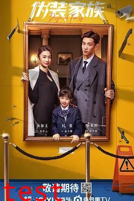 伪装家族
