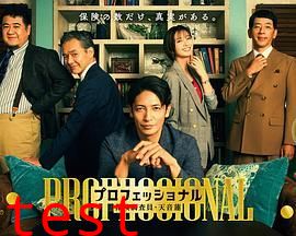 专业人士：保险调查员，天音莲