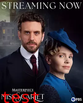 斯嘉丽小姐探案集第六季