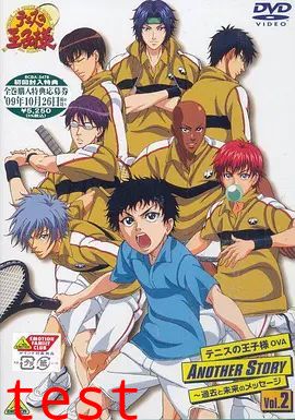 网球王子另一个故事：过去和未来的信息