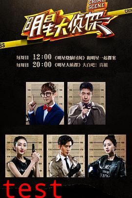 大侦探 第十一季