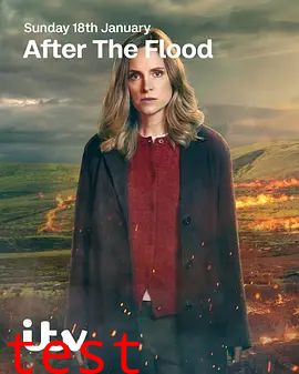 洪水之后第二季