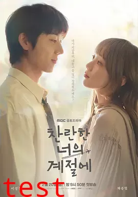 在你的灿烂季节