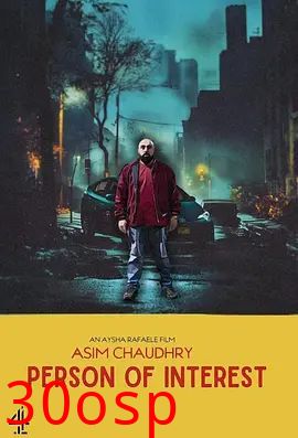 疑犯追踪（2024）