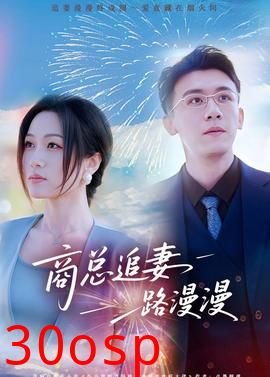 商总追妻路漫漫