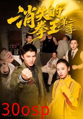 消失的拳王第二季