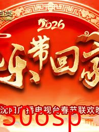 2026把乐带回家沈视春晚