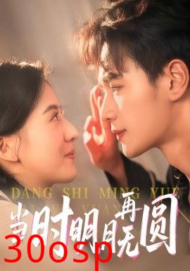 当时明月再无圆