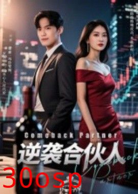 逆袭合伙人