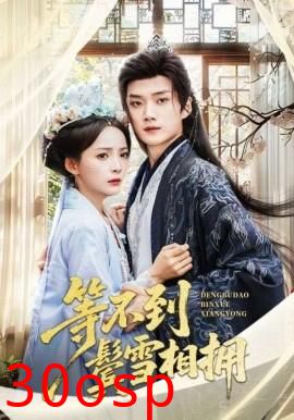 等不到鬓雪相拥