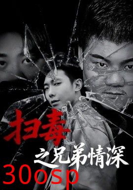 扫毒之兄弟情深