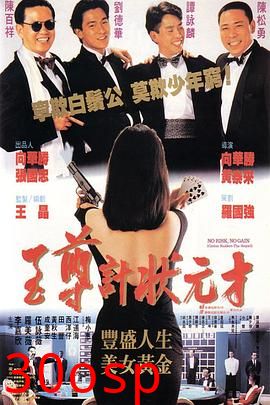 至尊计状元才国语