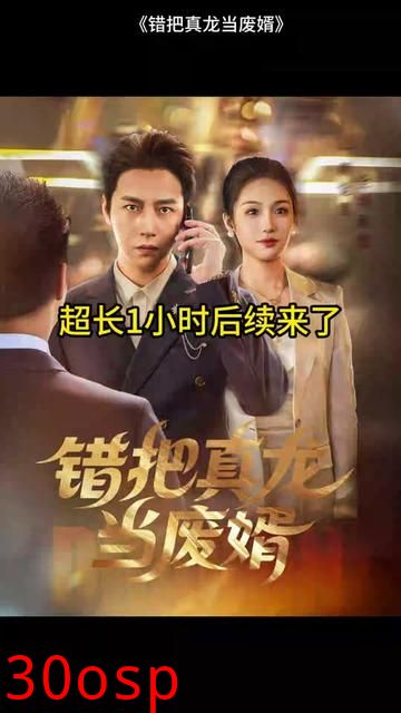 错把真龙当赘婿