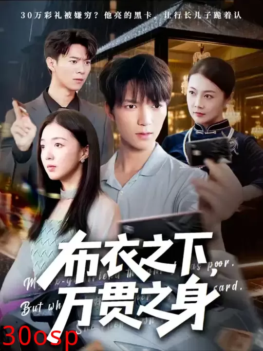 布衣之下万贯之身
