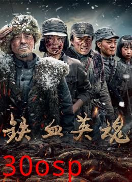 铁血英魂