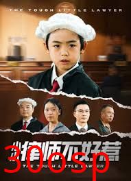 律师不好惹