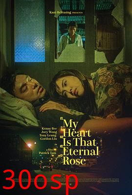 杀手蝴蝶梦国语