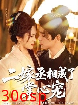 二嫁丞相成了掌心宠