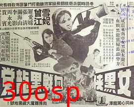 女黑侠血战黑龙党粤语
