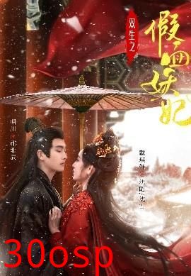 双生之假面妖妃