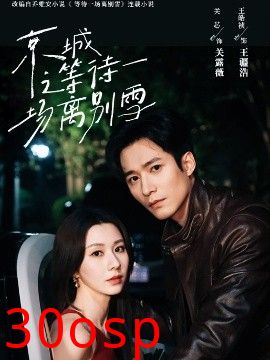 京城之等待一场离别雪